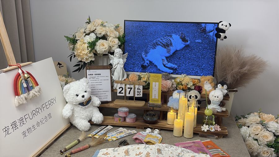 宠物告别仪式参考：开封版流程单与准备清单